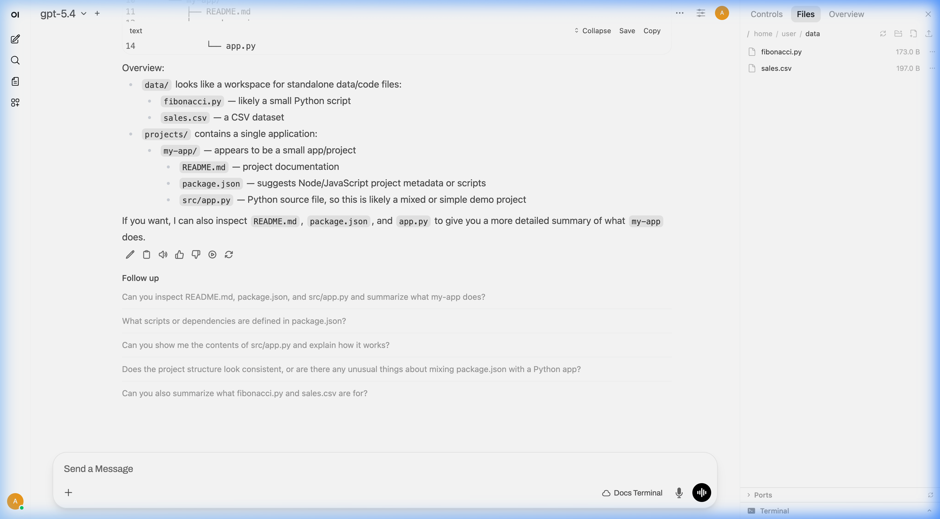 AI listing files and describing the project structure